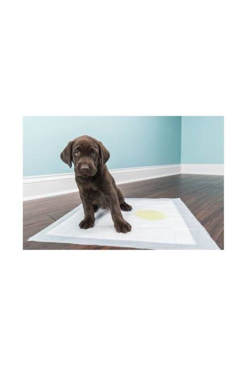 Köpek Tuvalet Çiş Eğitim Pedi 60x90 cm ( 10 Adet )