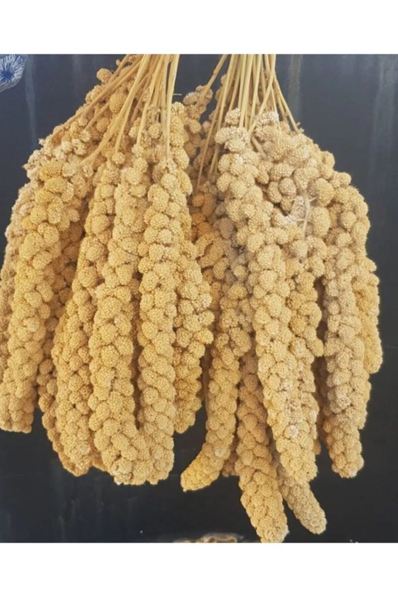 Vitaking Kuşlar İçin Doğal Sarı Dal Darı 100 gr