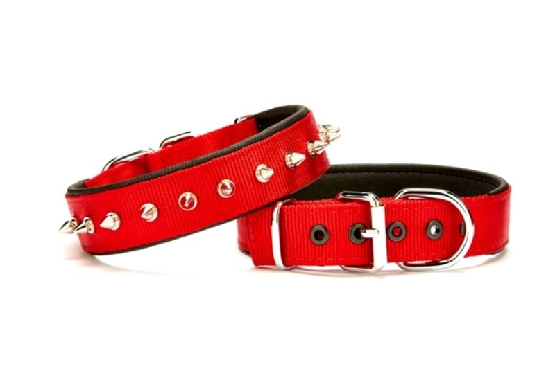 Doggie Çivi Desenli Köpek Tasması 3*65 cm Kırmızı